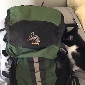 Gregory Reality Backpacking Bag (L)